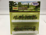 Tasma Products 00682 OO/HO Gauge Tomato Plants (Pack 16)