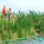 Busch 1256 HO/OO Gauge 120 Bulrushes