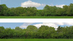 ID Backscenes 149A OO Gauge STANDARD 15" Just Trees (A) Backscene (2x 5')