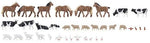 Faller 150938 HO/OO Gauge Farm Animals (36) Set
