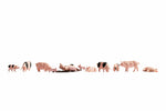 Noch 15712 HO/OO Gauge Pigs (12) Figure Set
