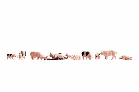 Noch 15712 HO/OO Gauge Pigs (12) Figure Set
