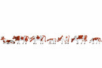 Noch 15723 HO/OO Gauge Brown and White Cows (7) Figure Set