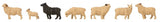 Faller 180236 HO/OO Gauge Sheep (7) with Sound Effects Module