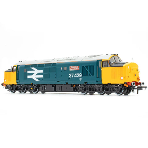 Accurascale 3164DCC OO Gauge Class 37 - Large Logo Blue - 37429 - DCC Sound