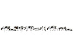 Noch 36721 N Gauge Cows