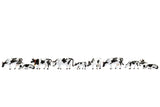 Noch 36721 N Gauge Cows