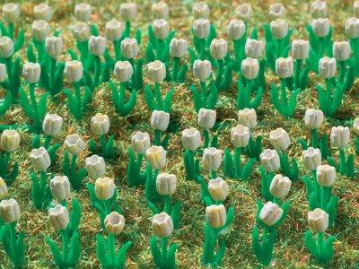Vollmer 5125 HO Gauge Tulips (White)(120)