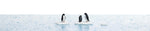 Busch 7923 HO/OO Gauge Penguins on Ice Floes