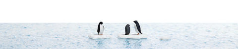 Busch 7923 HO/OO Gauge Penguins on Ice Floes