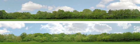 ID Backscenes PN147A N Gauge PREMIUM 9" Trees Backscene (2x 5')