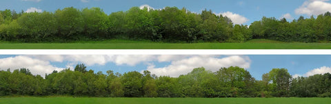ID Backscenes PN149B N Gauge PREMIUM 9" Trees Backscene (2x 5')