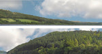 ID Backscenes P201B OO Gauge PREMIUM 15" Forest Hills Backscene (2x 5')