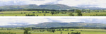 ID Backscenes N208B N Gauge STANDARD 9" Hills & Dales Backscene (2x 5')