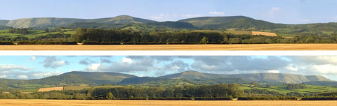ID Backscenes N242 N Gauge STANDARD 9" Harvest Hills Backscene (2x 5')