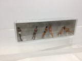 Preiser 10309 HO/OO Gauge Female Sunbathers (6) Exclusive Figure Set