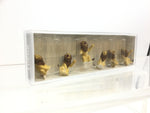 Preiser 20381 HO/OO Gauge Circus Lions Seated (6) Figure Set