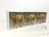 Preiser 20397 HO/OO Gauge Circus Dromedaries (3) Figure Set