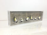 Preiser 20398 HO/OO Gauge Circus Penguins (6) Figure Set