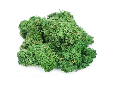 Gaugemaster GM1602 Dark Green Lichen (80g)