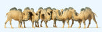 Preiser 20383 HO/OO Gauge Circus Camels (5) Figure Set