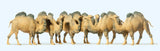 Preiser 20383 HO/OO Gauge Circus Camels (5) Figure Set