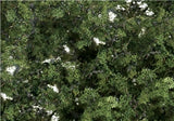 Woodland Scenics F1131 Medium Green Fine Leaf Foliage