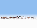 Noch 15775 HO/OO Gauge Birds
