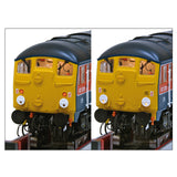Bachmann 32-443SF OO Gauge Class 24/1 D5094 Disc Headcode BR Green (Late Crest)