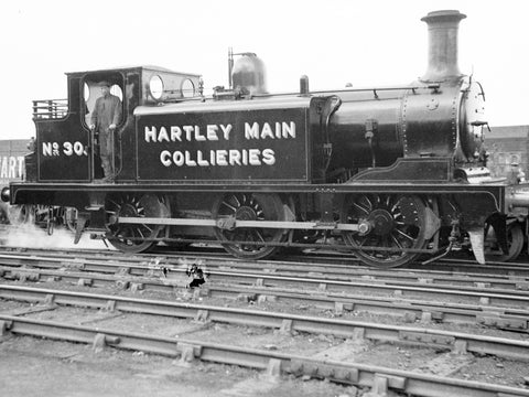 Rapido Trains 936514 OO Gauge E1 Class No.30 Hartley Main Colliery DCC SOUND
