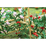 Tasma Products 00678 OO/HO Gauge Climbing Roses (Pack 6)