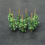 Tasma Products 00992 N Gauge Cucumber Plants (Pack 12)