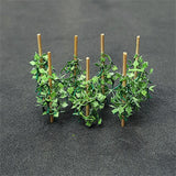 Tasma Products 00992 N Gauge Cucumber Plants (Pack 12)