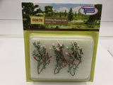 Tasma Products 00678 OO/HO Gauge Climbing Roses (Pack 6)