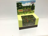 Tasma Products 00993 N Gauge Apple Tree Saplings (Pack 12)