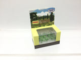 Tasma Products 00986 N Gauge Fern Plants (Pack 14)