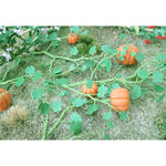 Tasma Products 00681 OO/HO Gauge Pumpkin Plants (Pack 6)