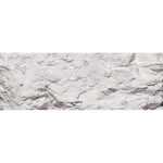 Woodland Scenics C1216 White Earth Colours™ Liquid Pigment 4 fl. oz.