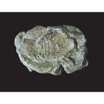 Woodland Scenics C1237 Wind Rock Mould (5"x7")