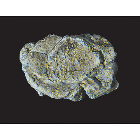 Woodland Scenics C1237 Wind Rock Mould (5"x7")