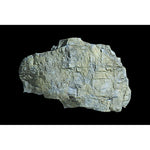 Woodland Scenics C1240 Rock Mass Rock Mould (5"x7")
